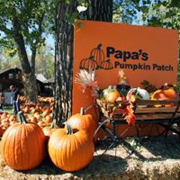 Papa's Pumpkin Patch: SEP 14-OCT 25