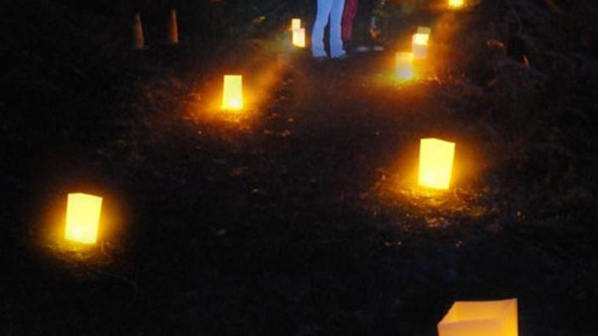 Luminary Walk