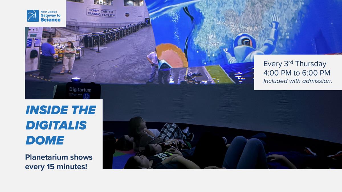 Inside the Digitalis Dome: FEB 19 - DEC 17