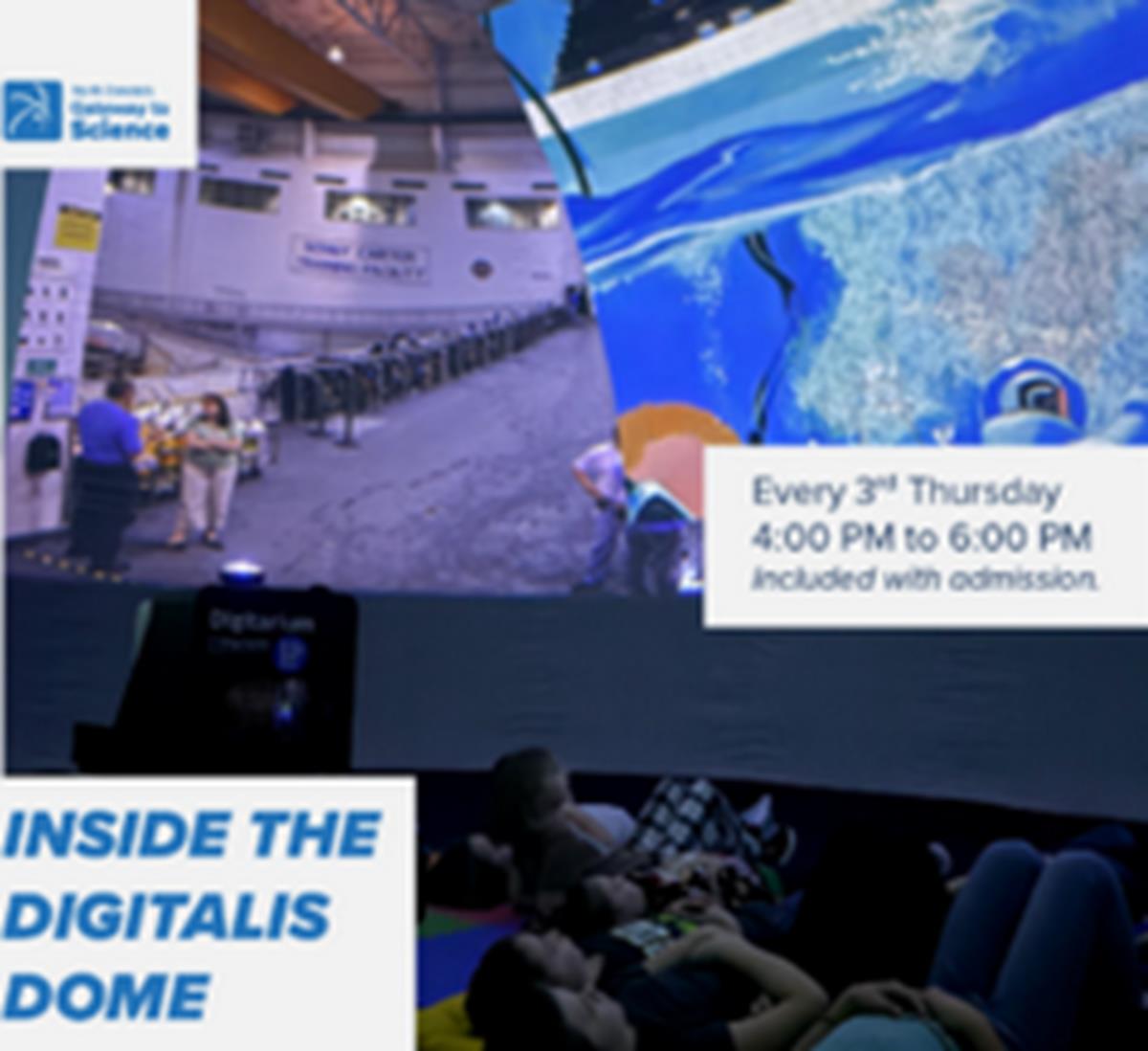 Inside the Digitalis Dome: FEB 19 - DEC 17