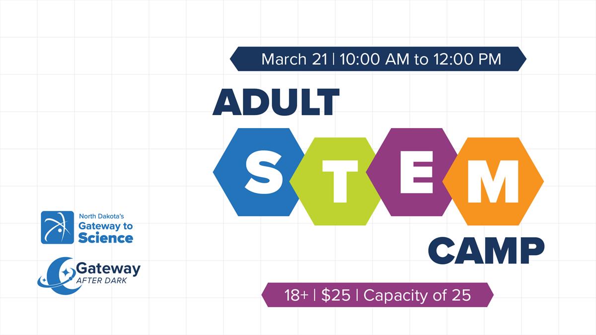 Adult STEM Camp