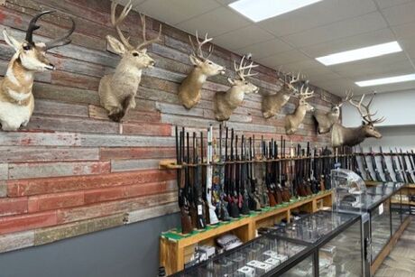 background image design