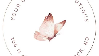 Your Own Two Wings image 