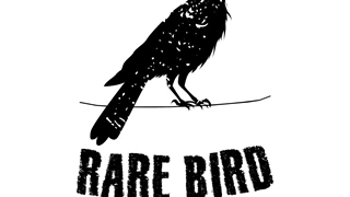 Rare Bird Records image 