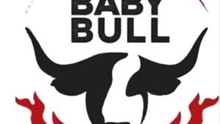 Baby Bull image 
