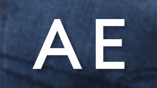 American Eagle image 